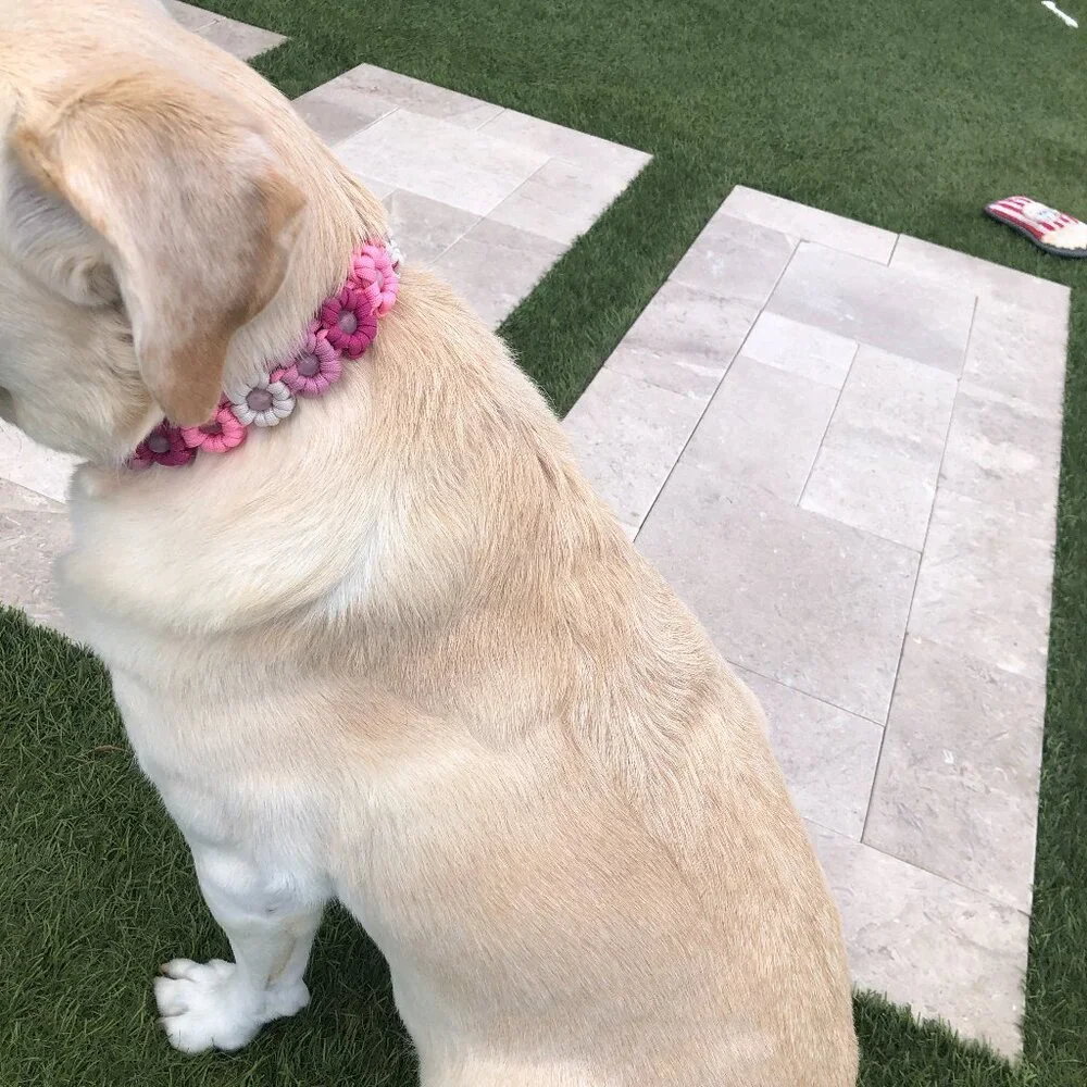 Pink Flower Dog Collar ~ Adjustable 15